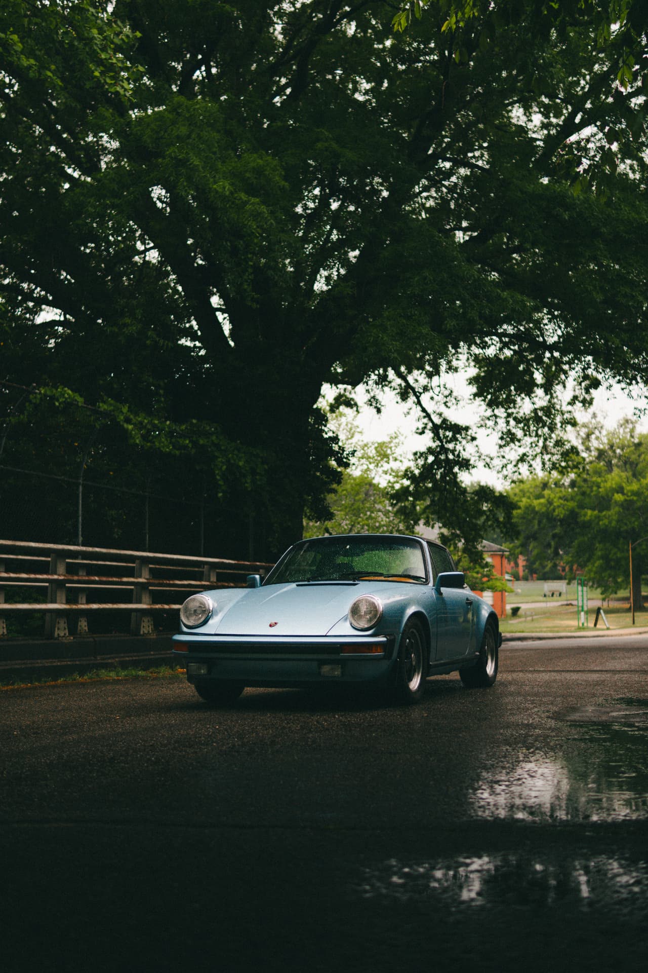 Blue Porsche 911 Targa on a wet road under heavy tree cover